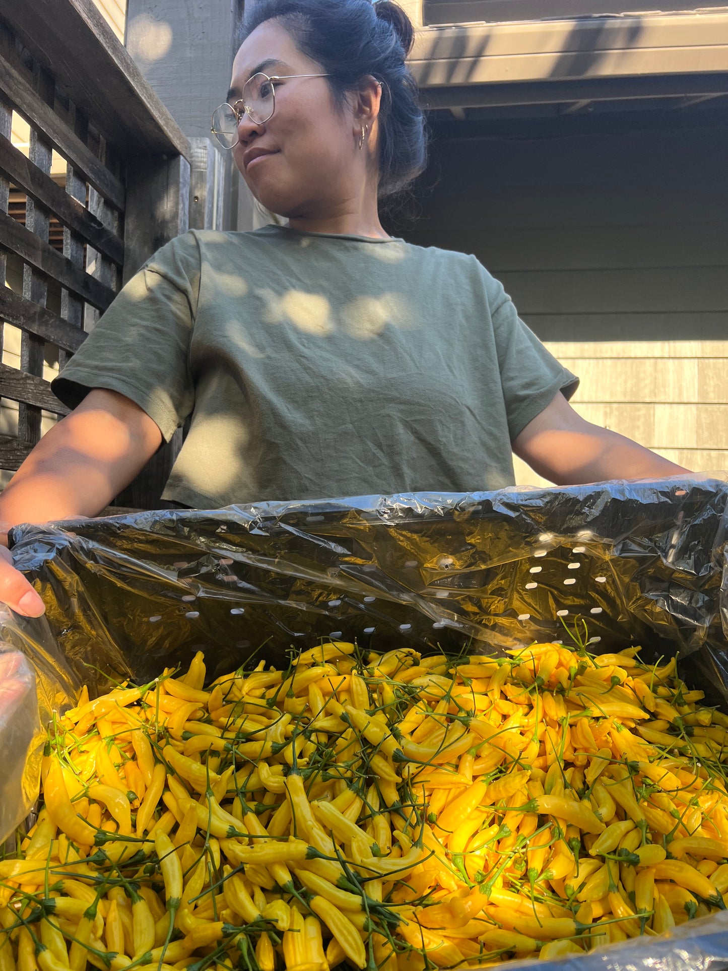 Main Squeeze - Seasonal